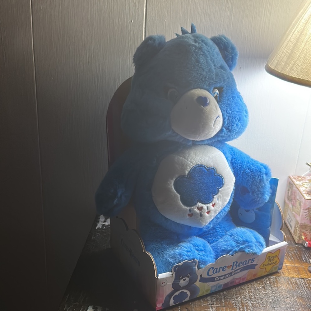 New Care Bears GRUMPY BEAR 12" Plush Sealed in Box 2014 w/ DVD. NIB, Age2+. - Picture 5 of 6